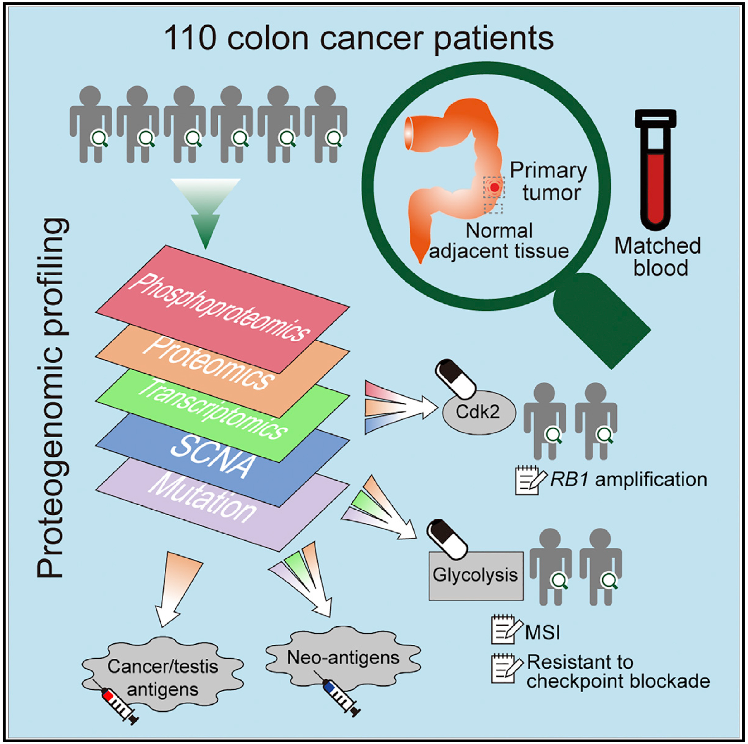 CPTAC Researchers Analyze Colon Cancer Proteins and Genes